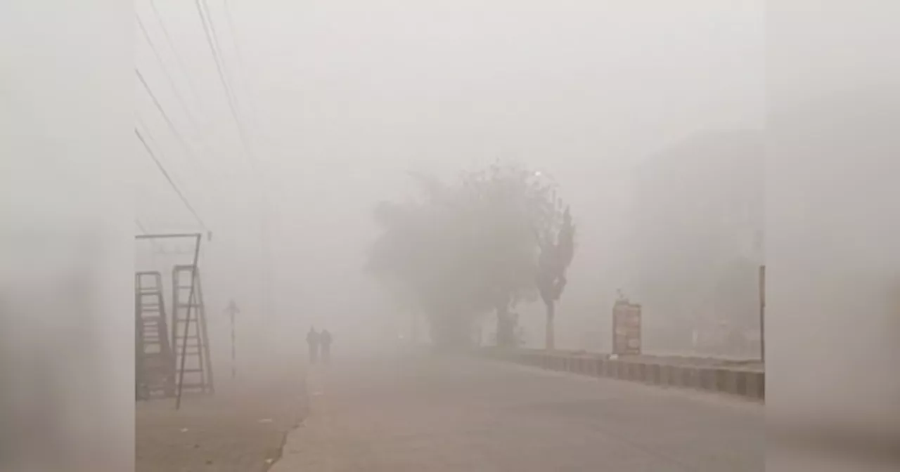 Rajasthan Weather: राजस्थान में सर्द हवाओं की मार, कोहरे के आघोश में कई इलाके, मौसम विभाग ने बारिश का जारी किया अलर्ट