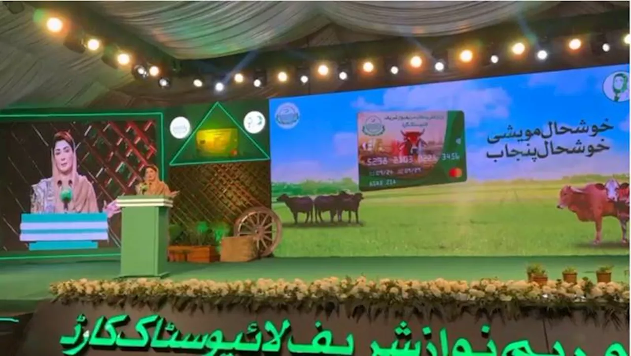 CM Maryam launches livestock card for Punjab farmers