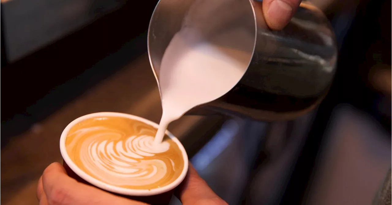 Morning Coffee Linked to Longer Life and Reduced Heart Disease Risk