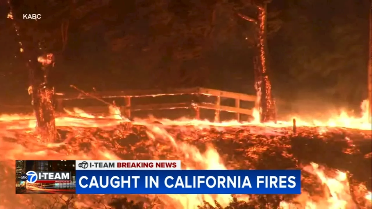 Chicago Natives Caught in the Chaos of LA Wildfires