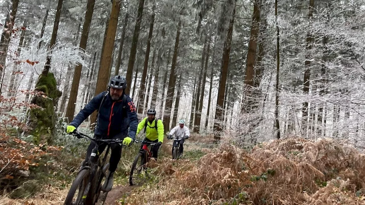 La Givrée de Bercé : Randonnées hivernales dans une forêt magique