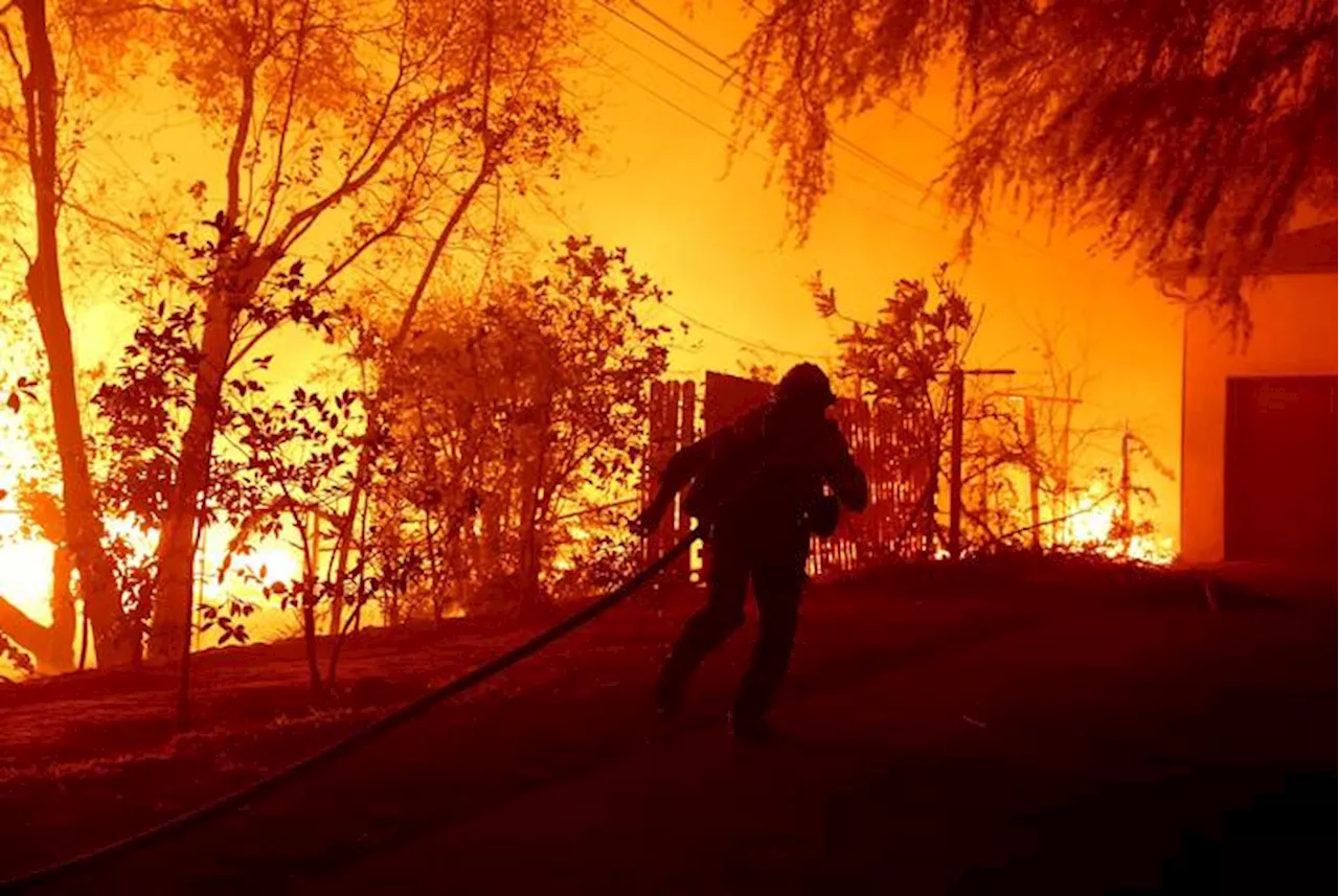 Inferno di fuoco a Los Angeles, migliaia in fuga. Console d'Italia, 'nessun italiano ferito'