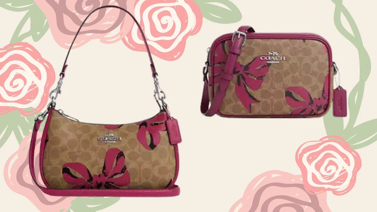 Coach Outlet Bags with Bow Details Selling Fast