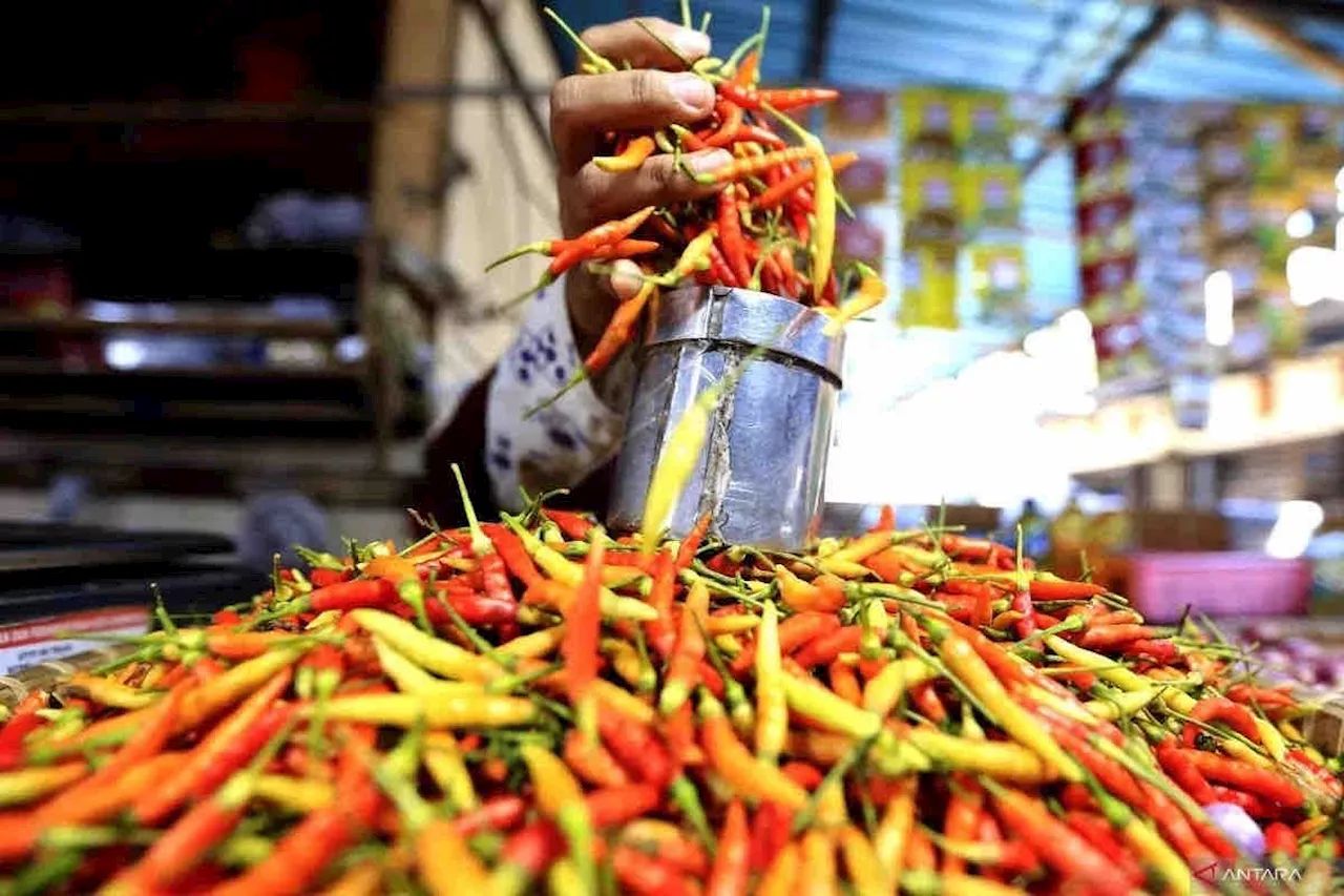 Harga Pangan Turun, Cabai Rawit Merah Tembus Rp71.700 per Kg