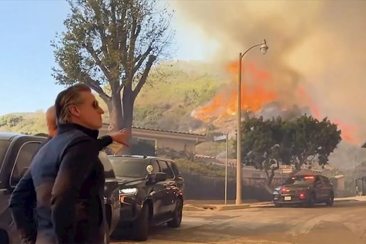 Lima Orang Tewas dalam Kebakaran Hutan di Los Angeles