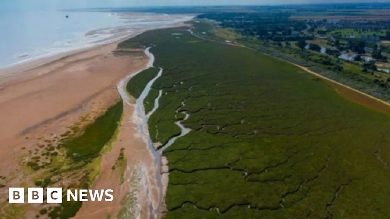 Lottery cash to protect 'fragile' Cleethorpes coastline