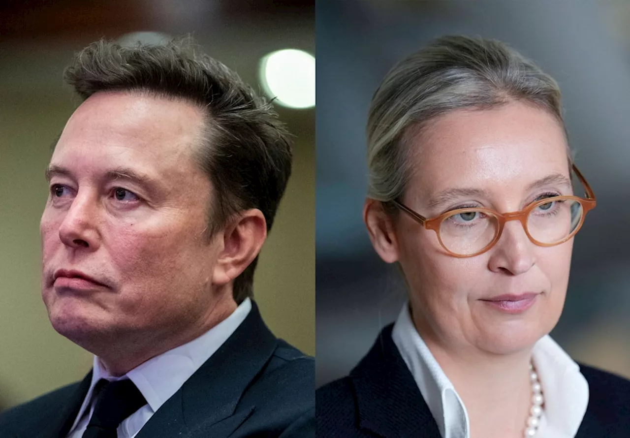 Musk und Weidel diskutieren live auf X - EU prüft auf EU-Rechtsverstöße