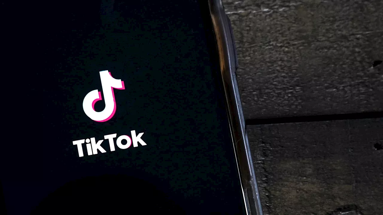 Influenceuse Algérienne en Garde à Vue pour Vidéos Haineuses sur TikTok