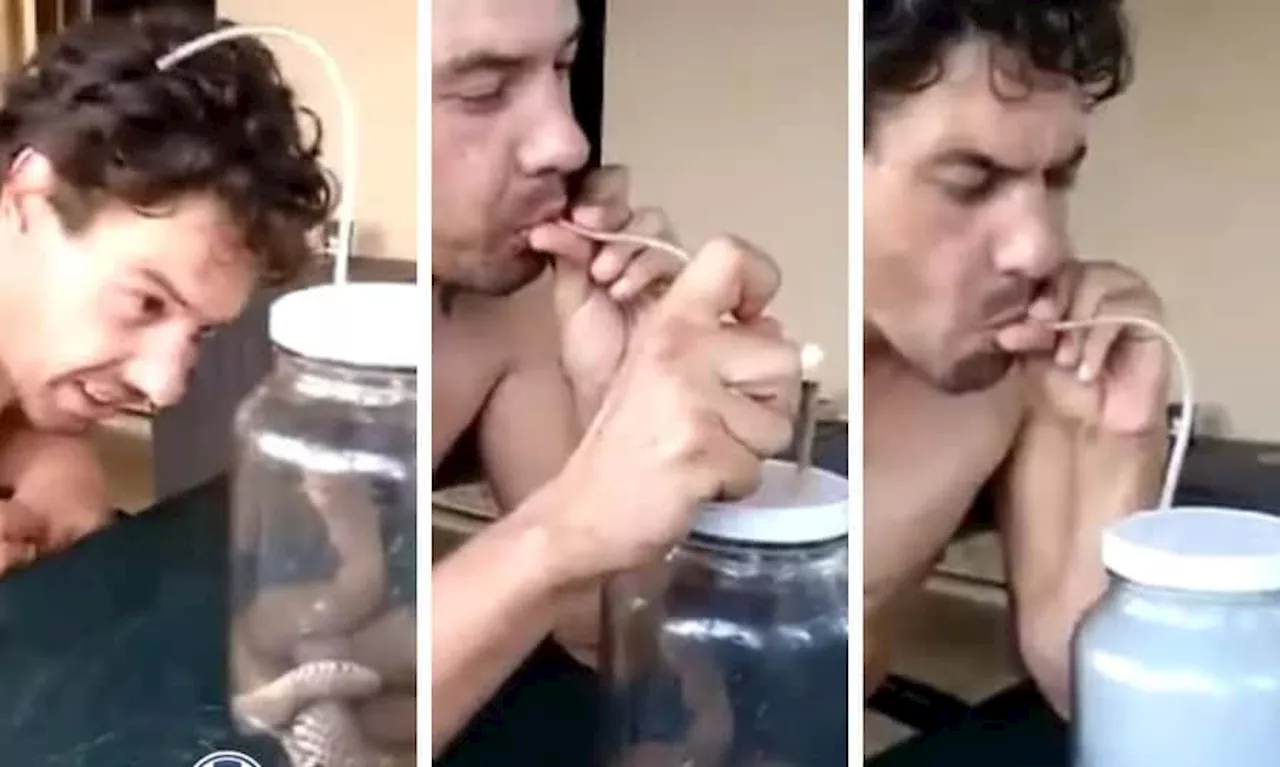 Watch: ‘Lenient sentence’ after Limpopo man smokes bong with live cobra inside