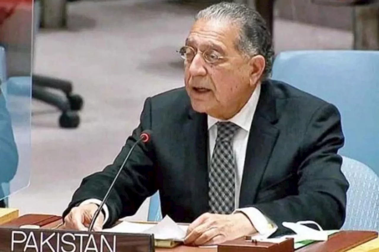 Pakistan calls for representative governance in Syria to ensure unity