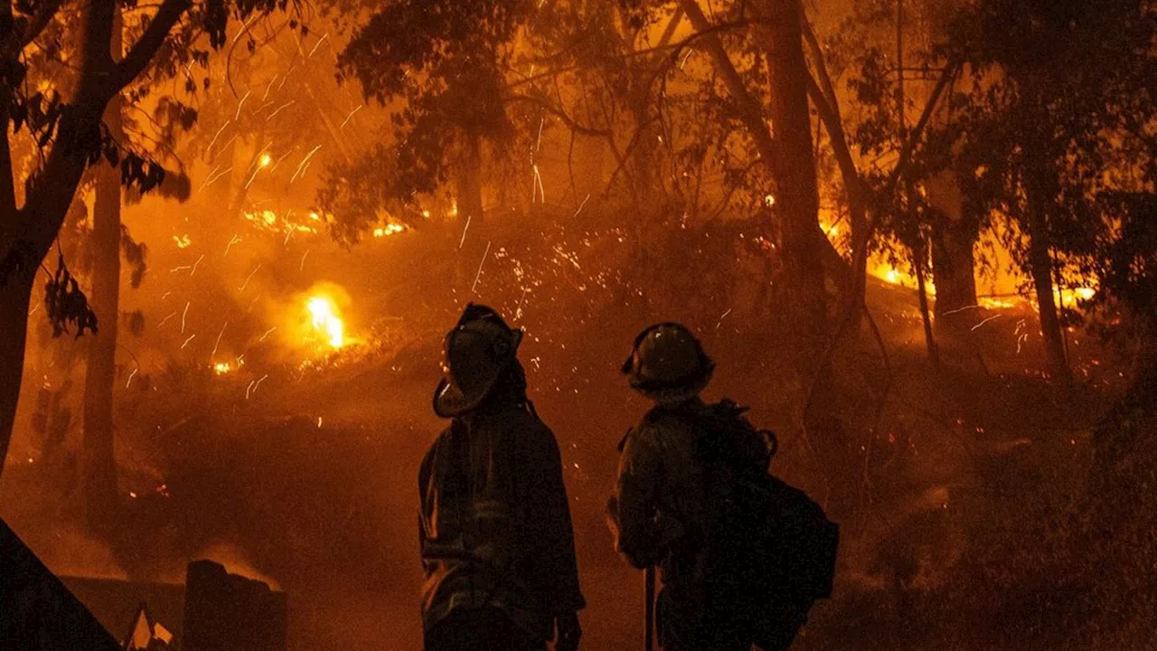 Feuer in Kalifornien bedroht Hollywood-Wahrzeichen