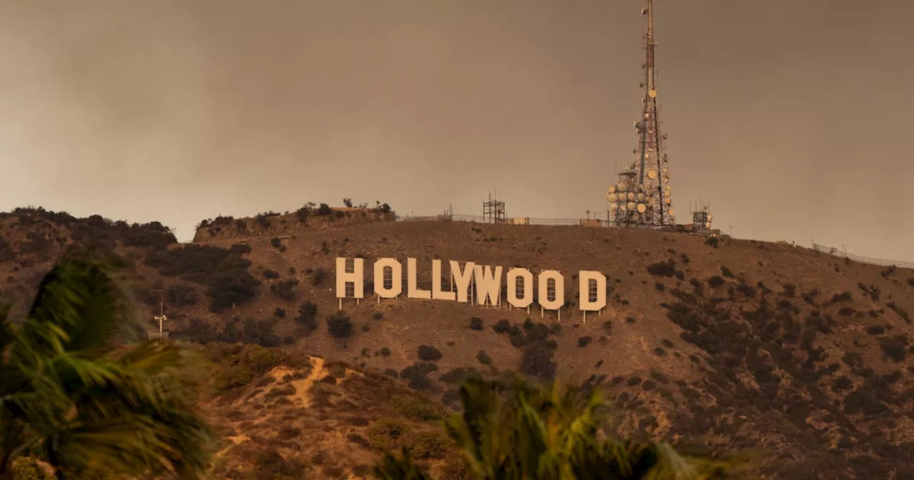 Hollywood Hills scorched as Sunset Fire spreads in Los Angeles