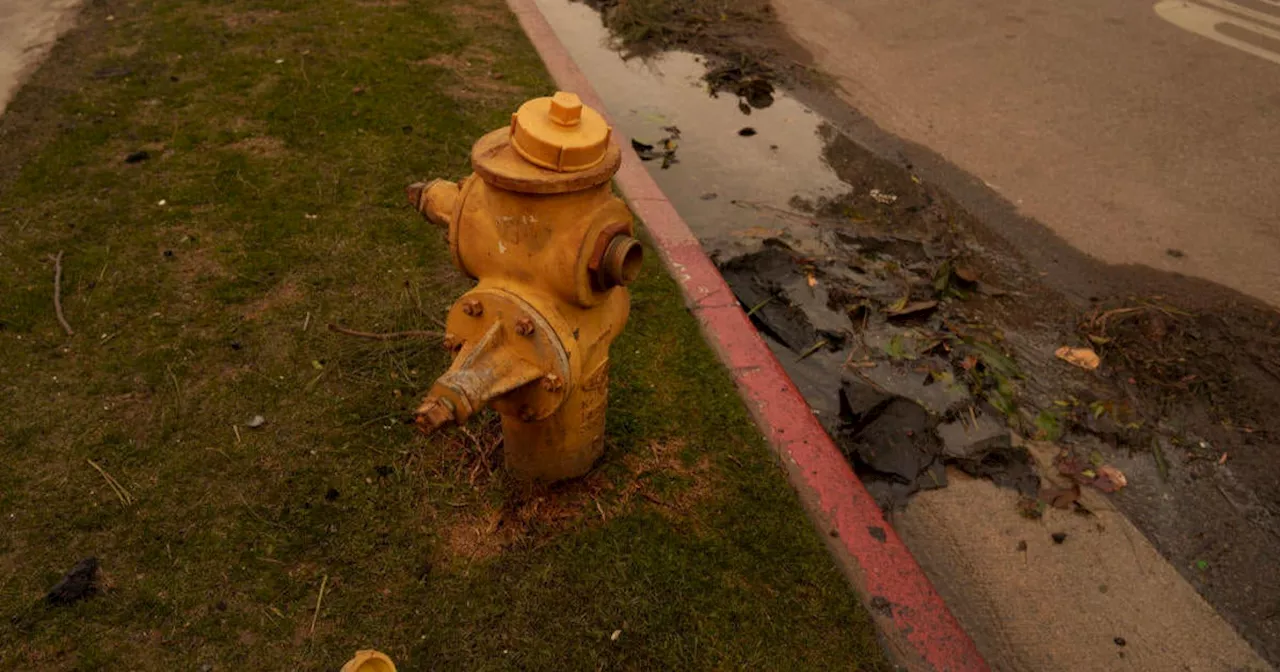 Pacific Palisades Fire: Water Supply Issues Criticized