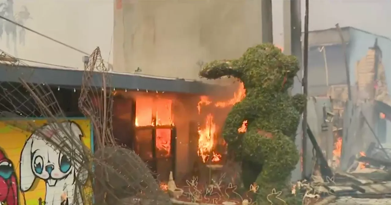 Bunny Museum Destroyed in Eaton Fire