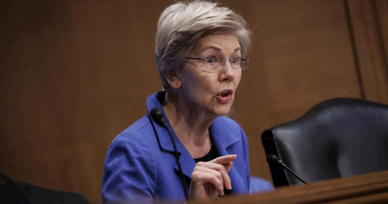 Sen. Warren Questions Trump's IRS Nominee's Qualifications