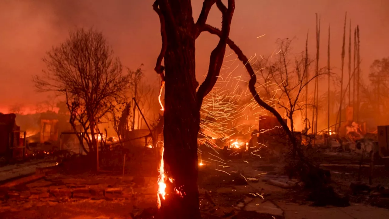 Singaporeans in LA Face Fears as Wildfires Ravage Suburbs