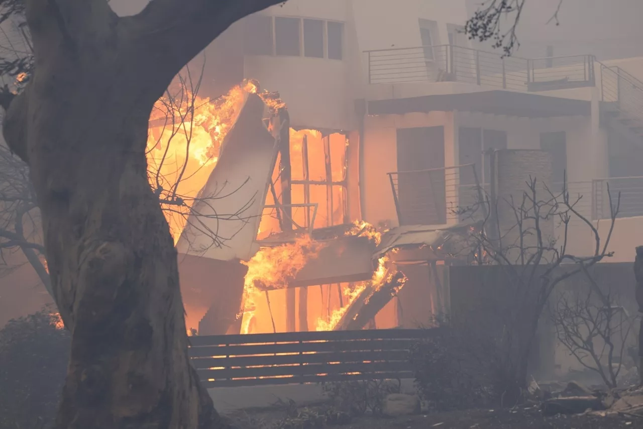 Incendies monstres à L.A. : ces stars françaises et américaines touchées de plein fouet (Photos)