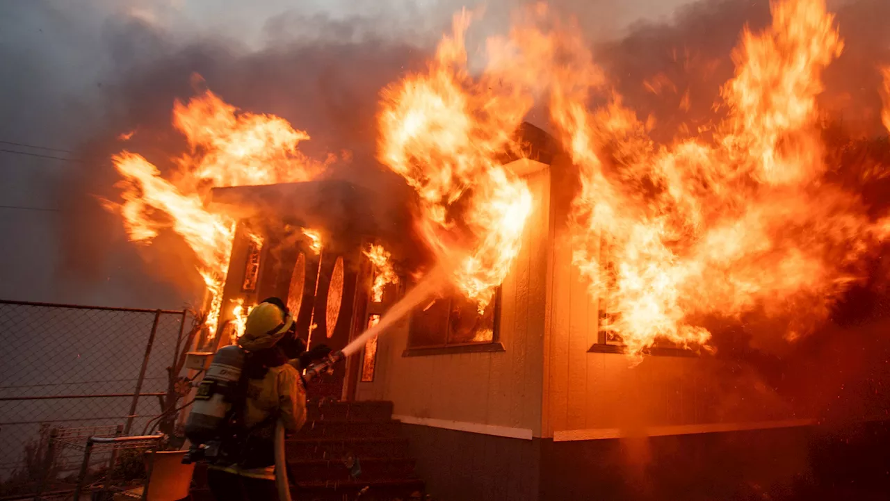 Incêndios em Los Angeles Matam Cinco Pessoas e Causam Dano de 50 Bilhões de Dólares