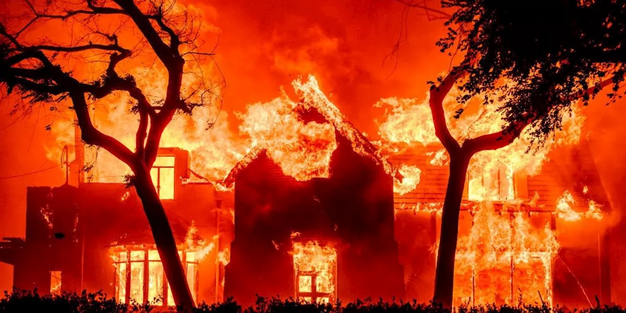 As Apocalyptic Fires Torch LA, Climate Campaigners Say 'Big Oil Did This'