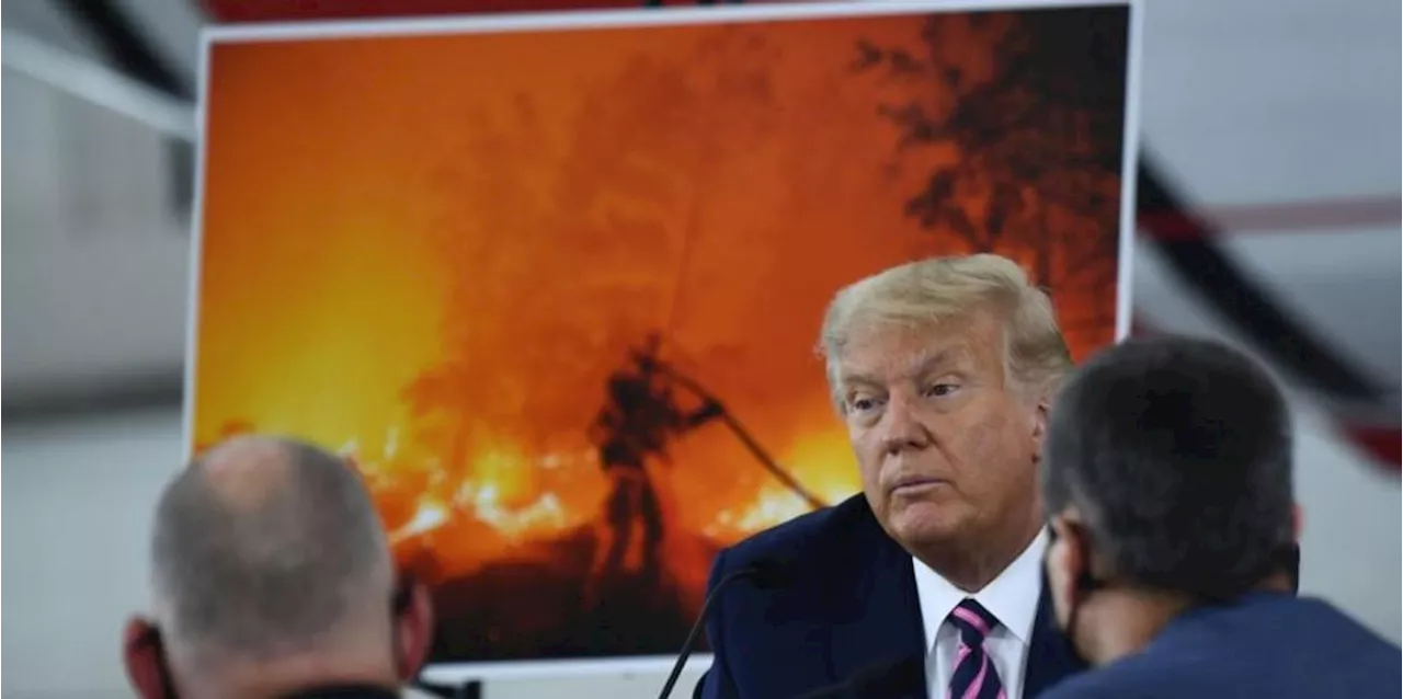 Trump Blames California Wildfires on Governor and 'Diversity Policies' While Ignoring Climate Change