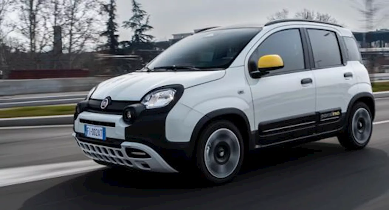 Fiat Panda Resta al Top delle Vendite Auto in Italia nel 2024