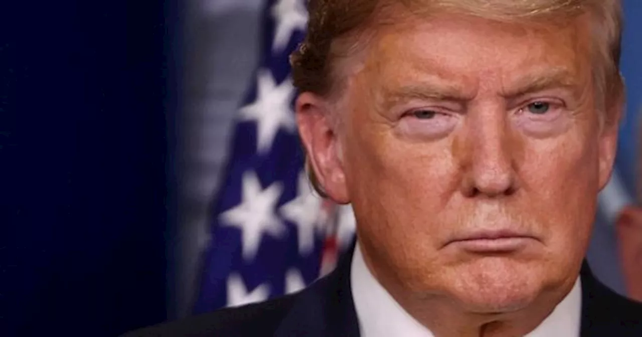 Donald Trump PROMETIÓ la green card 'AUTOMÁTICAMENTE' a estos INMIGRANTES: cuándo comienza y quién es elegible
