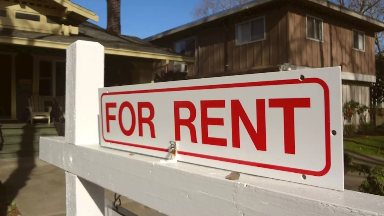 Rental prices in Calgary saw the biggest drop in Canada last year: report