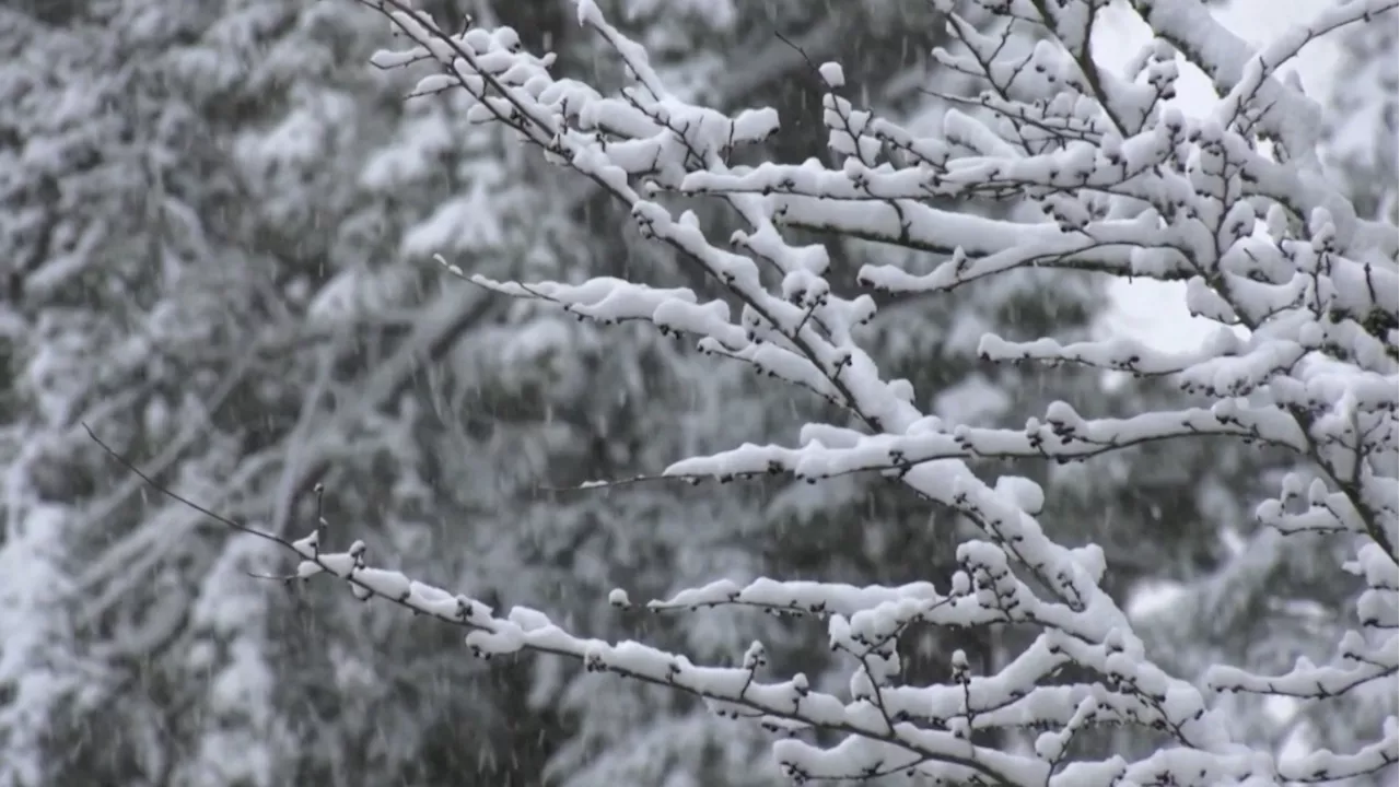 Snowpack Levels Looking Promising for Southern Alberta