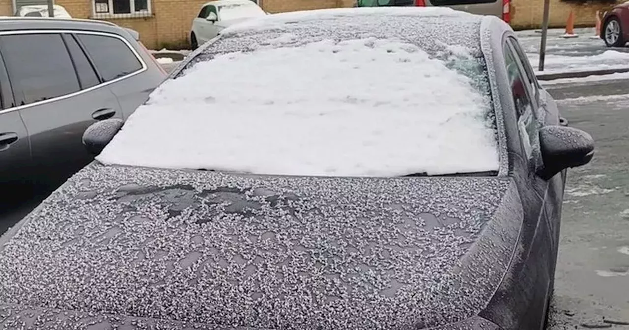 Ace Ventura Driver Caught With Head Out Window Due to Snow Covered Windscreen