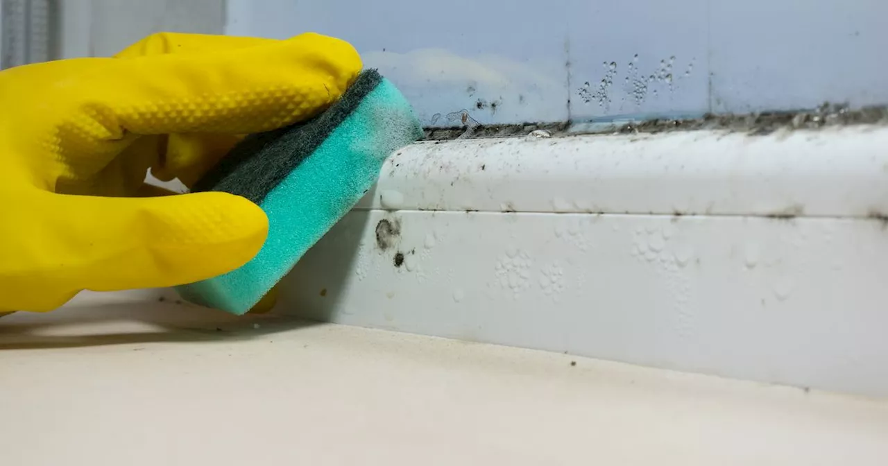 Condensation on windows: Easy ways to reduce it