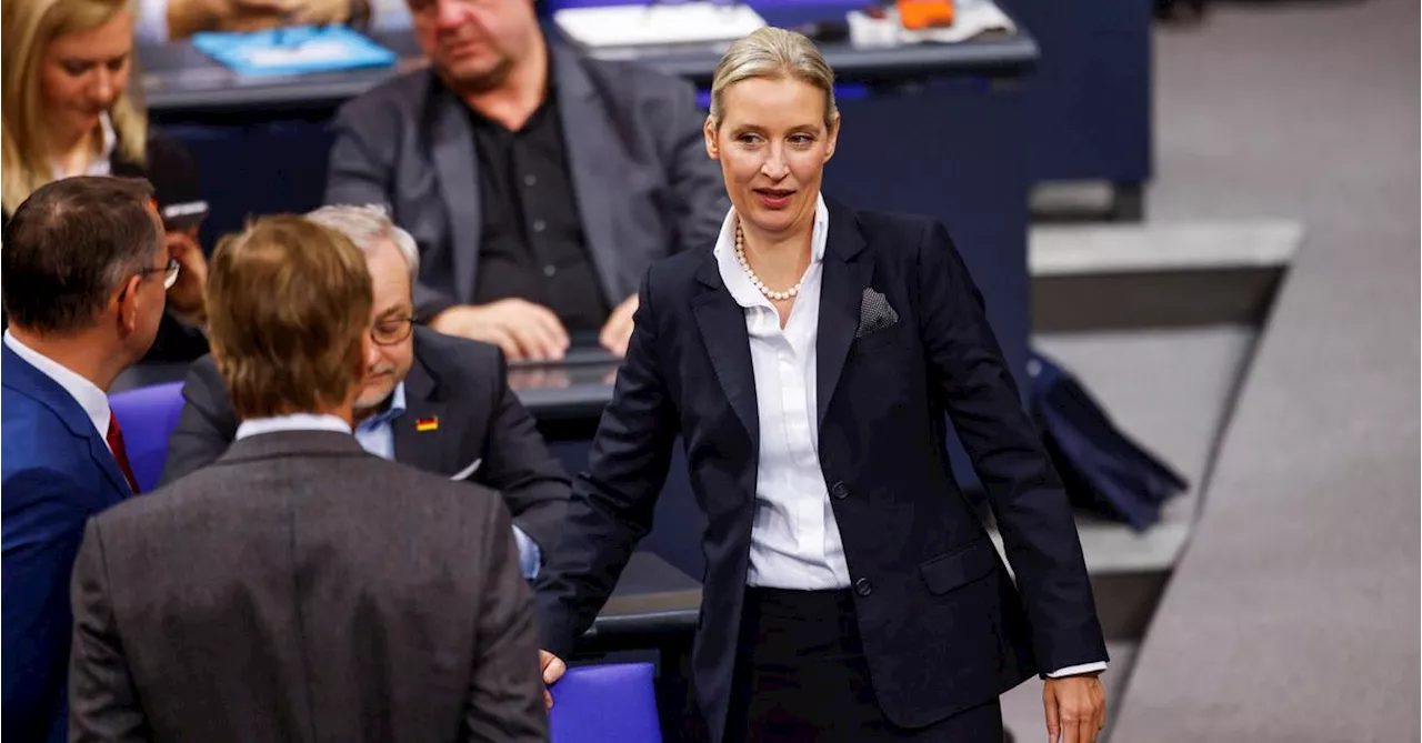 „Deutschlands mögliche Bundeskanzlerin“: Musk und AfD-Chefin Weidel plaudern auf X