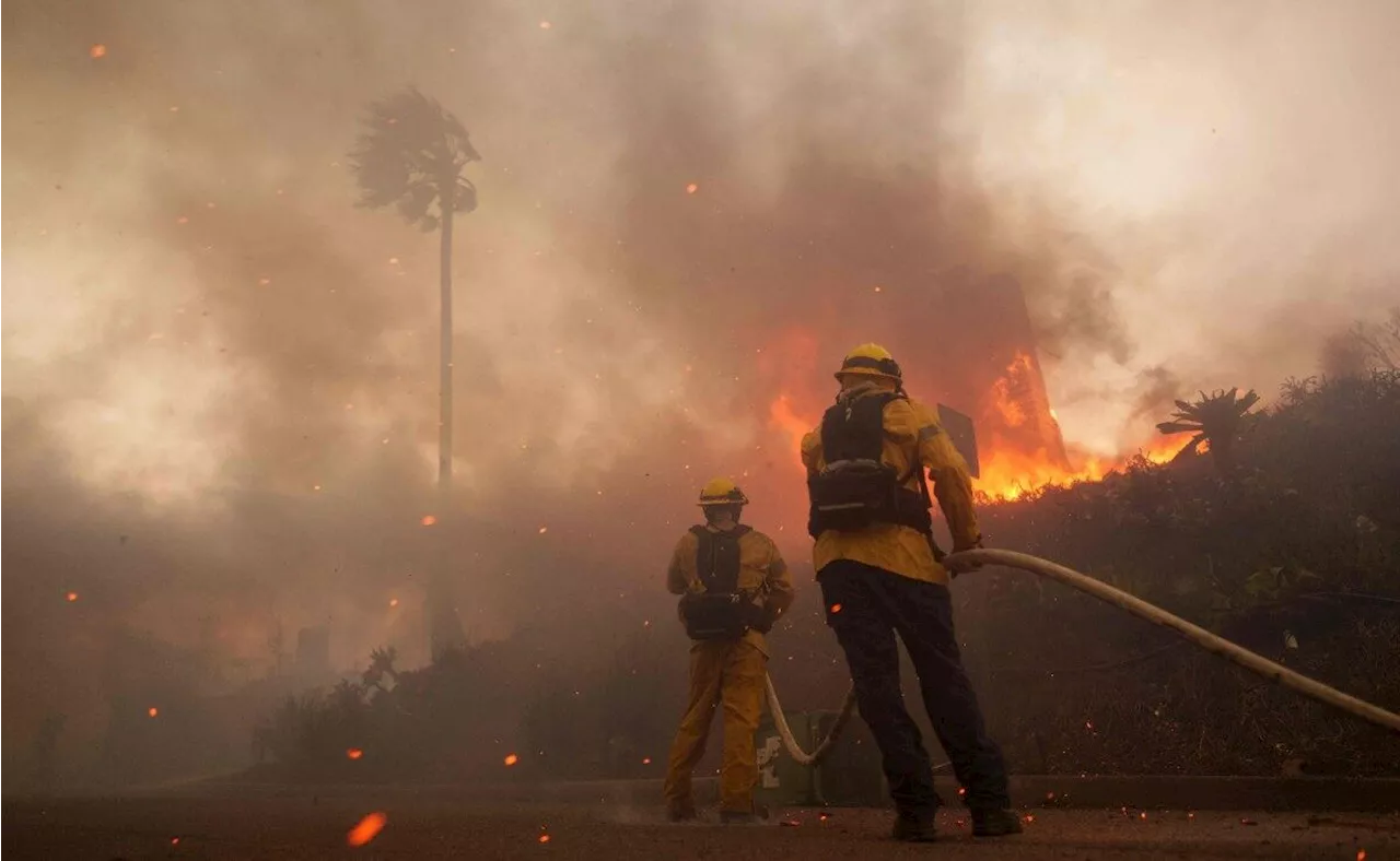 Viento y Sequía Alientan Incendios Forestales en California