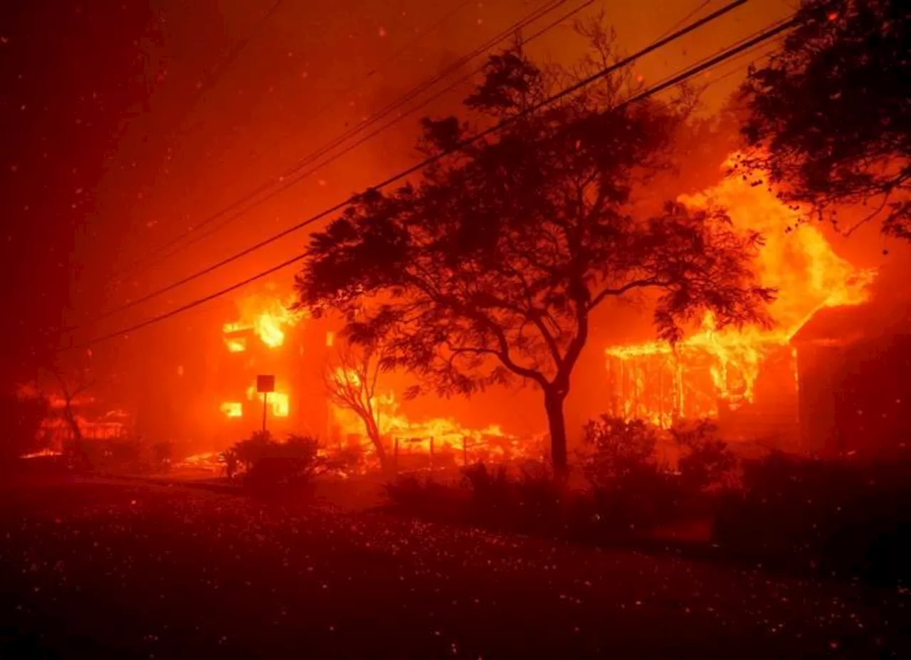 Critics Choice Awards: posponen entrega de premios por incendios en California, ¿cuándo será la gala?