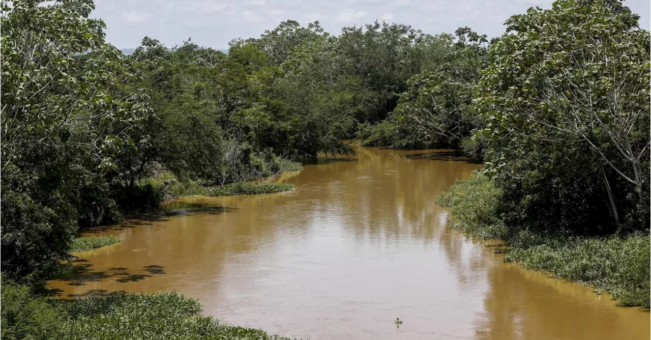 El río Magdalena, entre los destinos imperdibles de 2025