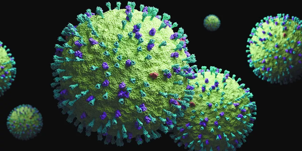 Cuatro puntos para entender el metapneumovirus humano que prende las alarmas en China