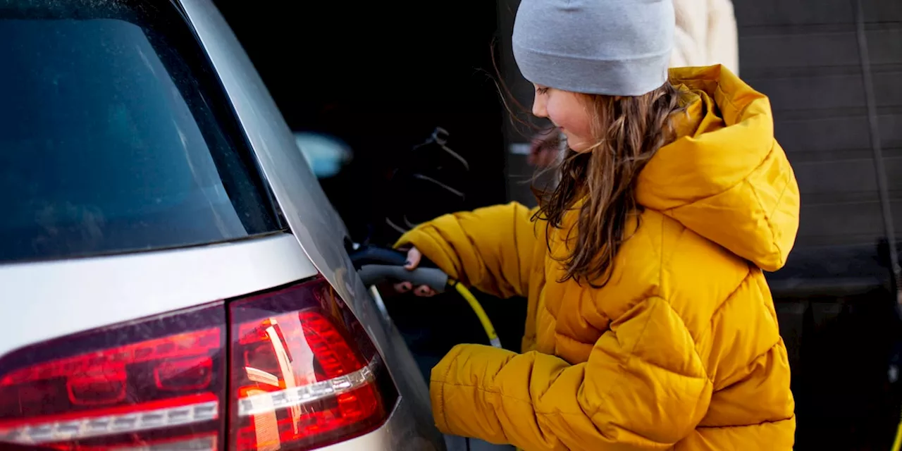 Warum Elektroauto-Wunderland Norwegen kein Vorbild für Deutschland ist