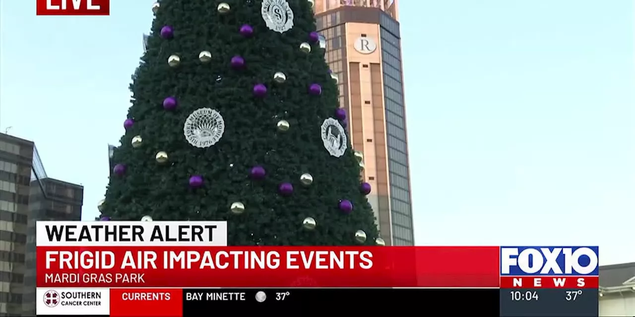 Mardi Gras Tree Lighting Postponed Due to Cold Weather