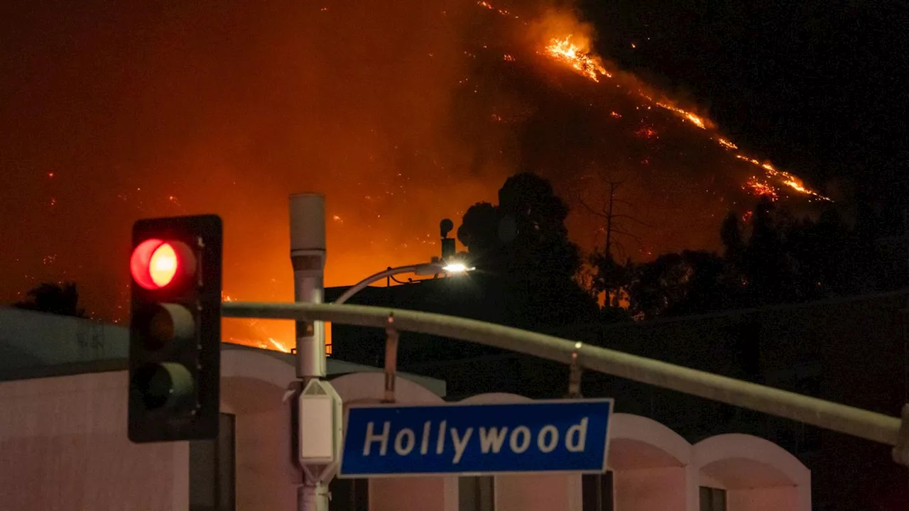 Waldbrände in Los Angeles: Diese Stars haben ihre Häuser in den Flammen verloren