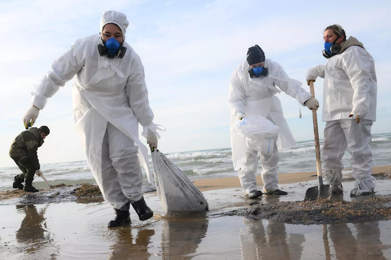 Ограничение вылова рыбы в Азовском и Черном морях из-за разлива мазута