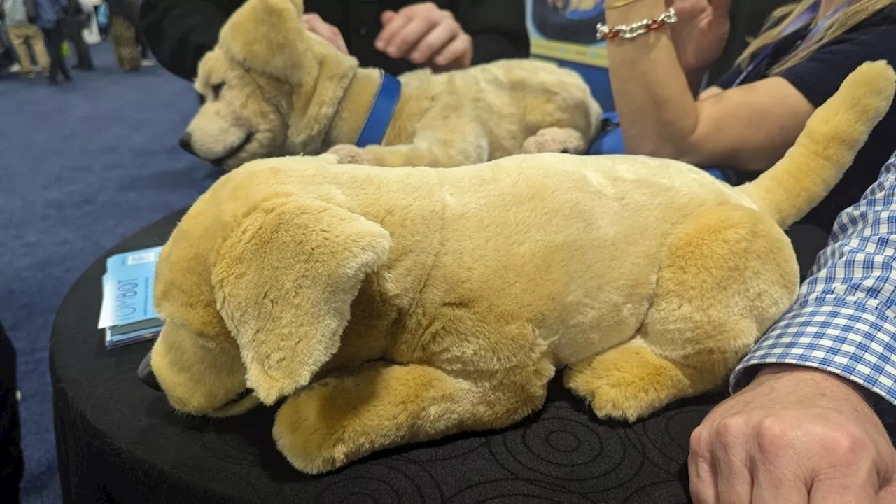 Niedliche Tiere für nicht ganz so niedliche Anwendungen