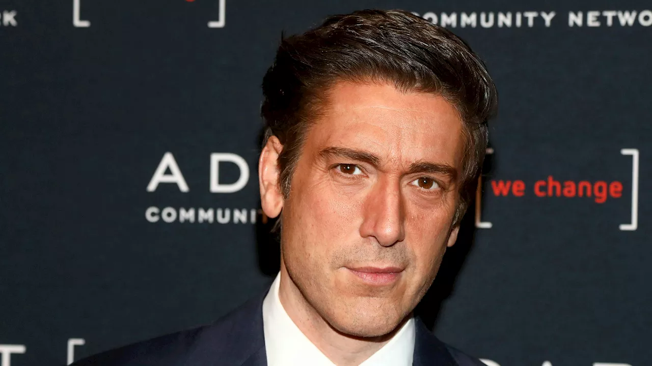 David Muir wird für Wäscheklammer-Trick während Waldbrandberichterstattung verspottet