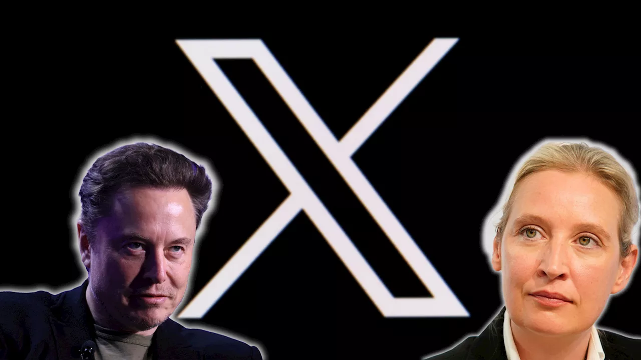 Talk am Donnerstag auf X - Musk will AfD-Chefin Alice Weidel zu Kanzlerin machen