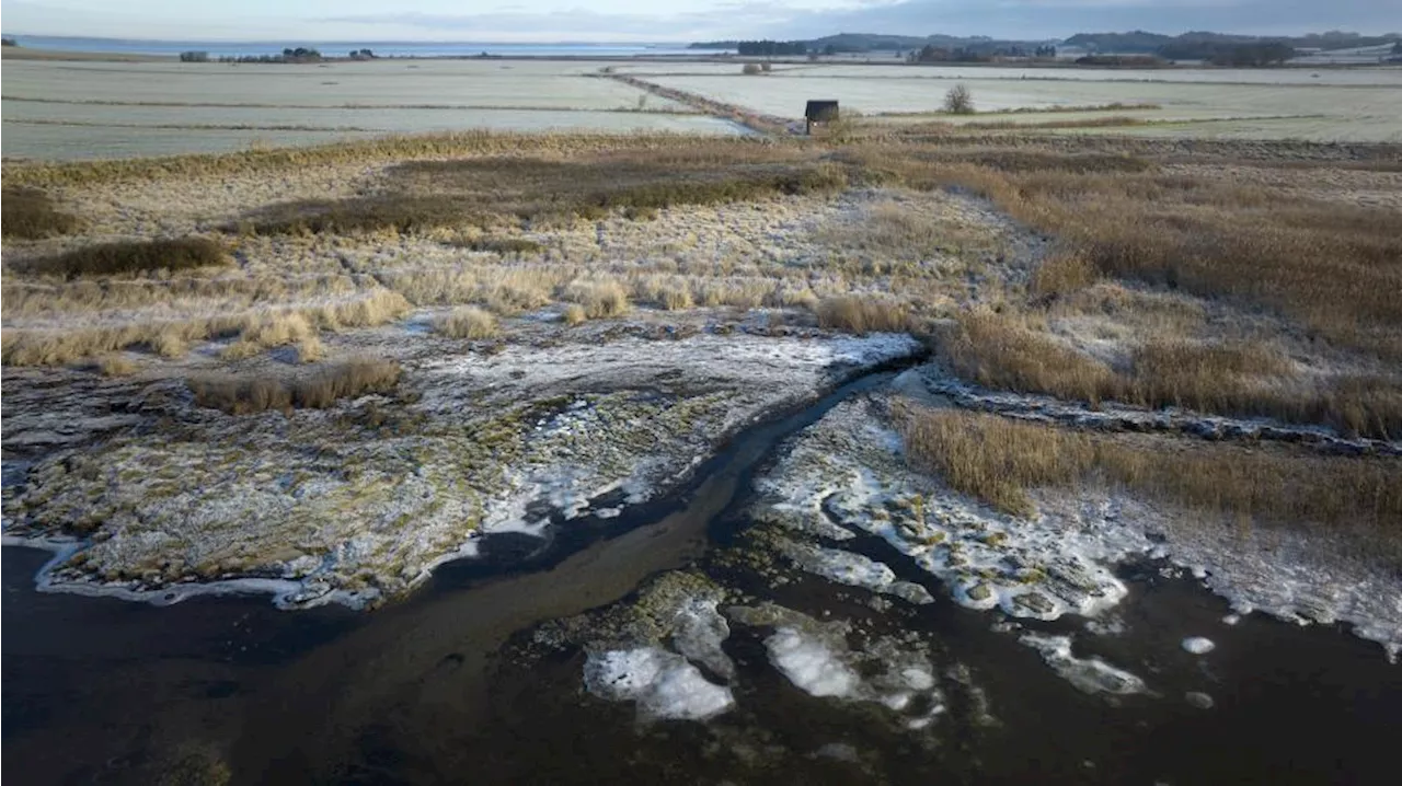 Nye CO2-beregninger rykker Danmark tættere på klimamål: »Misvisende« siger professor