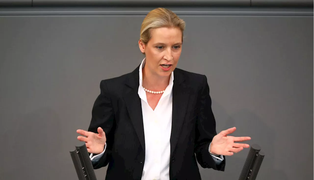 Musk und Weidel treffen sich zu Online-Gespräch