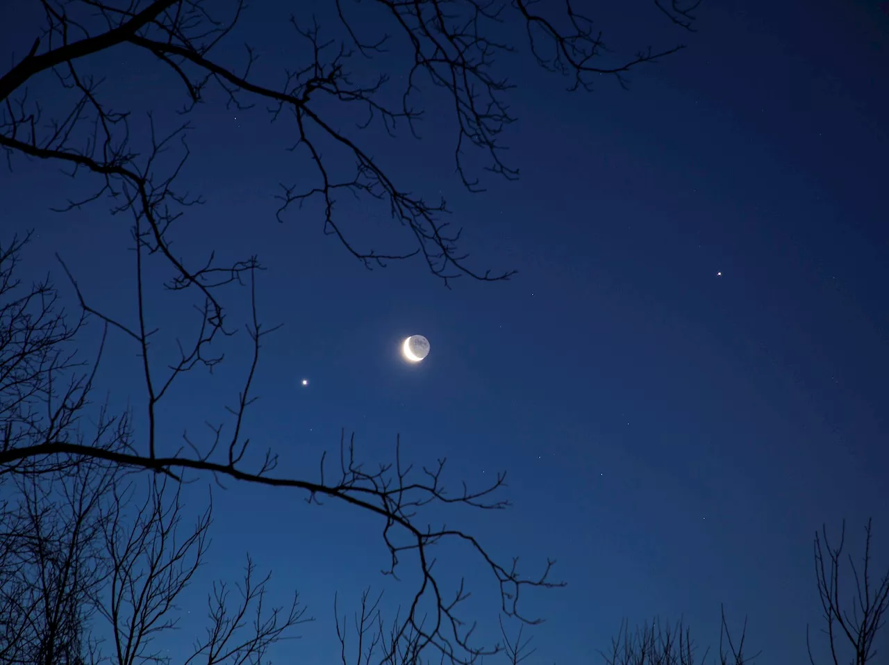 Il bacio Luna-Giove e la Luna del Lupo brillano a gennaio 2025