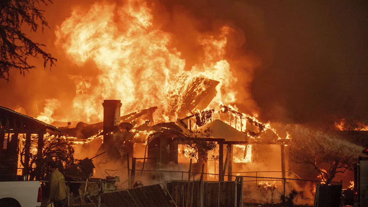 Incendio devasta le colline di Los Angeles