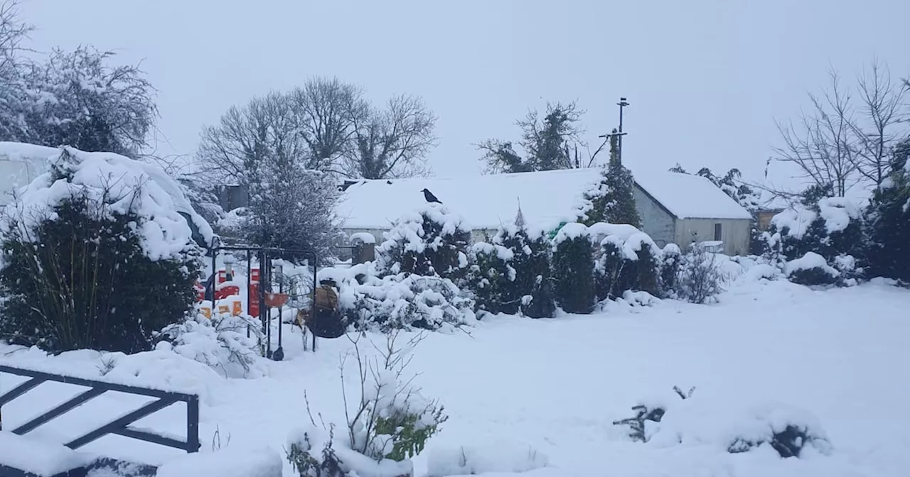 Weather Ireland: Orange warning remains in place as temperature falls to -7.5