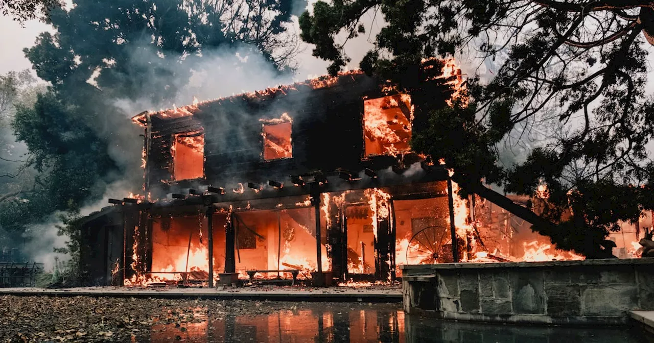 Wind-and-Wildfire Monster Devours Los Angeles