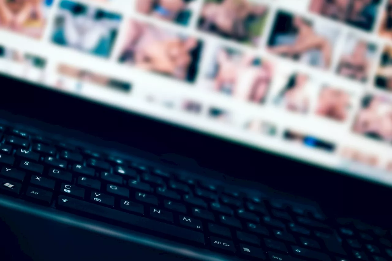 Dernier appel pour la conformité : les sites de pornographie en France doivent s'adapter