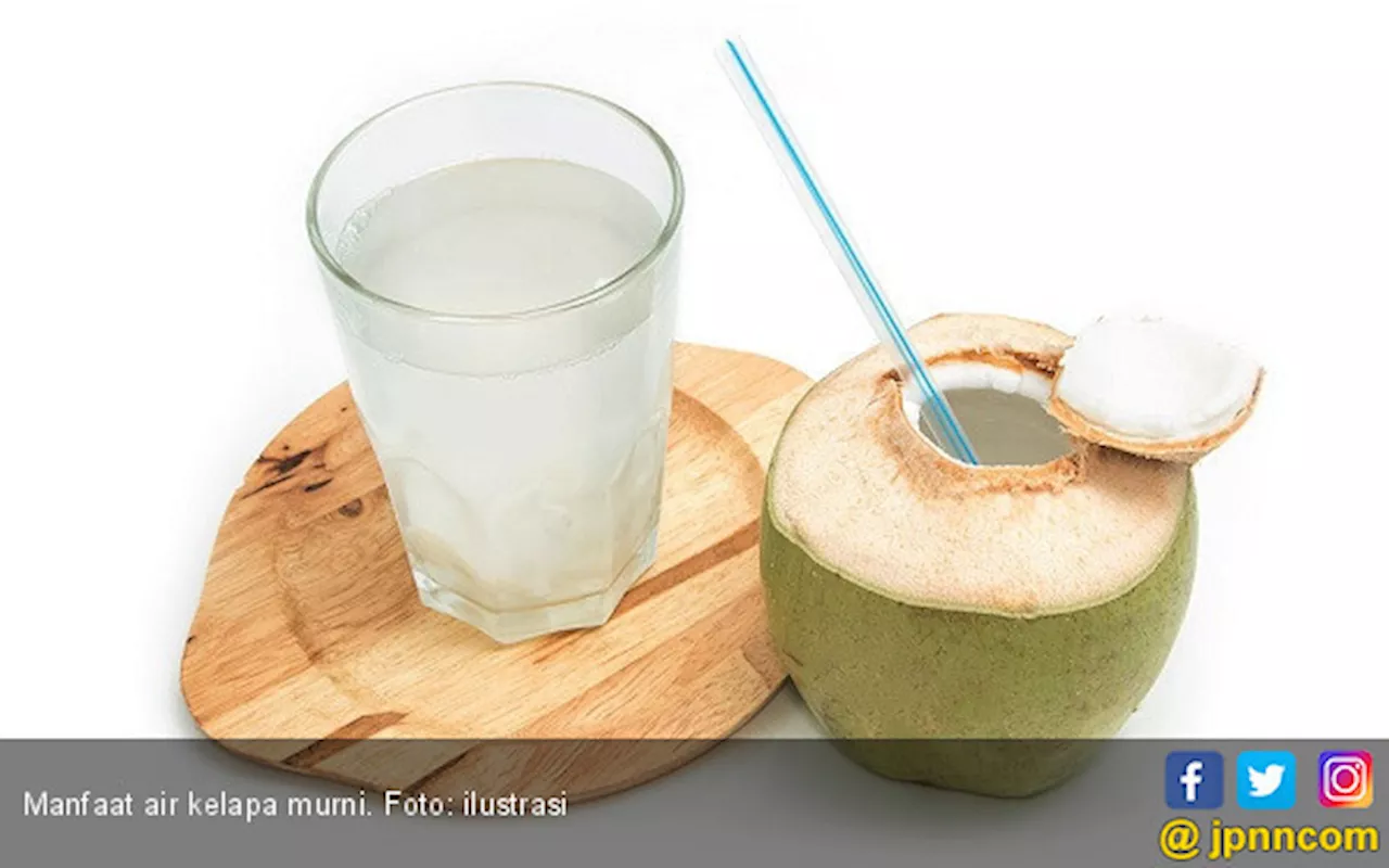 Manfaat Air Kelapa Hijau Campur Madu